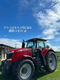 入場無料‼️【📍北海道】東京ドーム385個分の日本一広い牧場に、2,000頭の牛が自由に遊ぶ絶景🐄🐄🐄