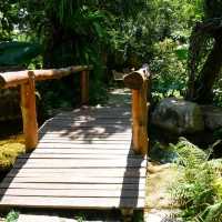 พามาคาเฟ่ วิวน้ำตก