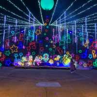 😍相模湖森林遊樂園-多啦A夢燈光秀