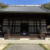 【広島　竹原】照蓮寺