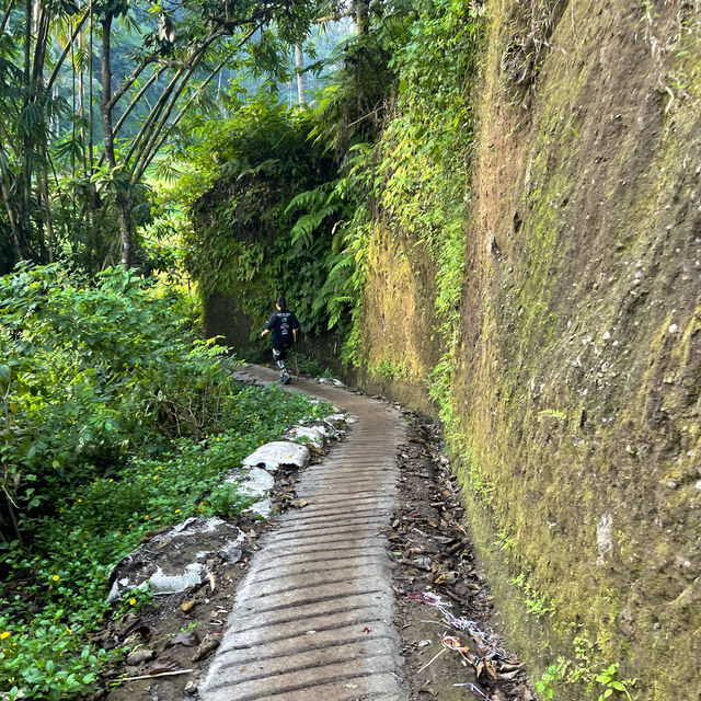 The soothing nature and waterfalls of Bali 