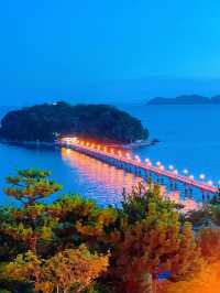 【絶景】島全体が天然記念物！パワースポットの竹島🏝