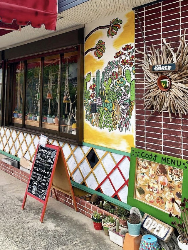 【福岡カフェ】多肉植物いっぱいの個性的な店内が可愛すぎる🌵