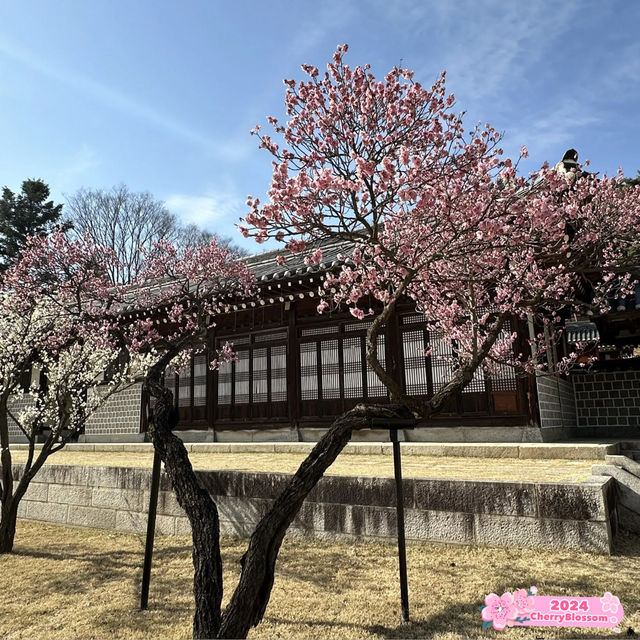 Historic House of Yi Sun-Sin🌸@ Hyeonchungsa🇰🇷