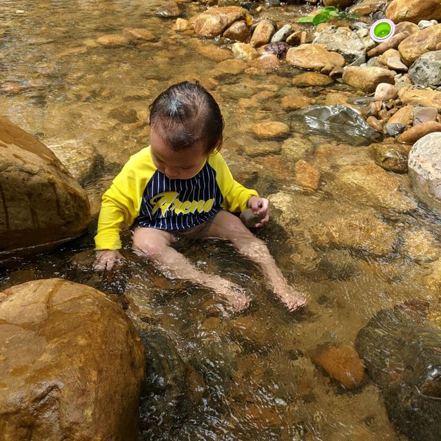 Swing over a stream