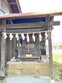 【三ツ木神社/神奈川県】オレンジに染まった石像が出迎える