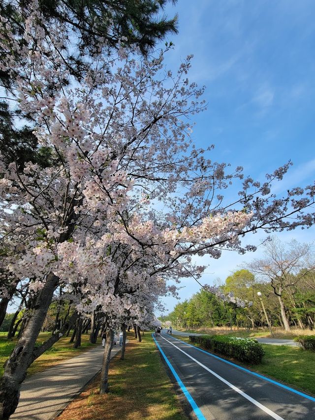 Uminonakamichi Seaside Park 