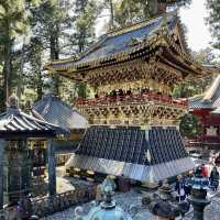 🏯 Unveiling the Splendor of Toshogu Shrine 🌸🍃