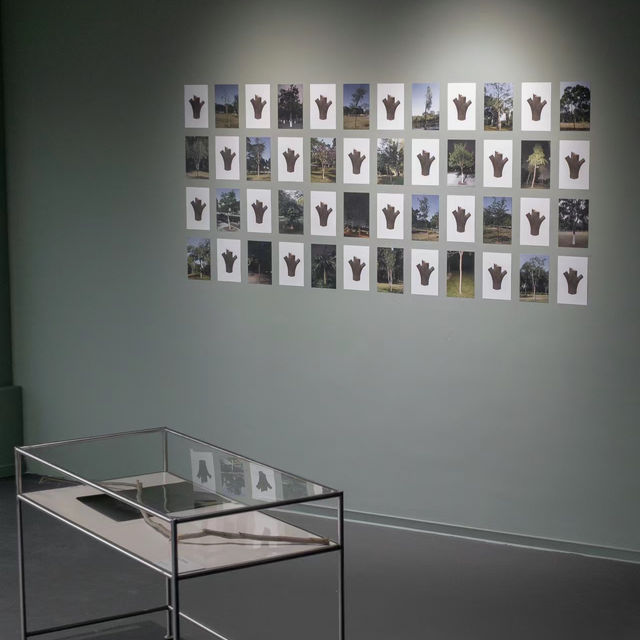 「臺北富邦美術館：珍貴藝術品展覽，深入藝術體驗」