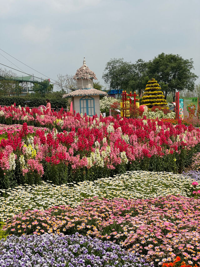 💐 Manhua Manor • Chengdu 