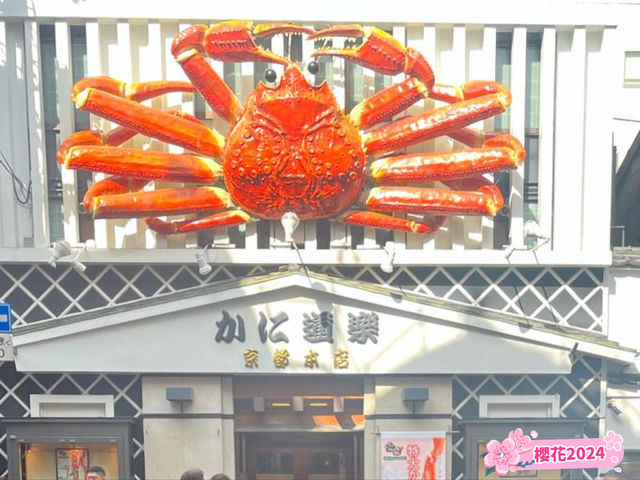 《京都•蟹道樂》🦀🦀一齊感受一場蟹宴‼️