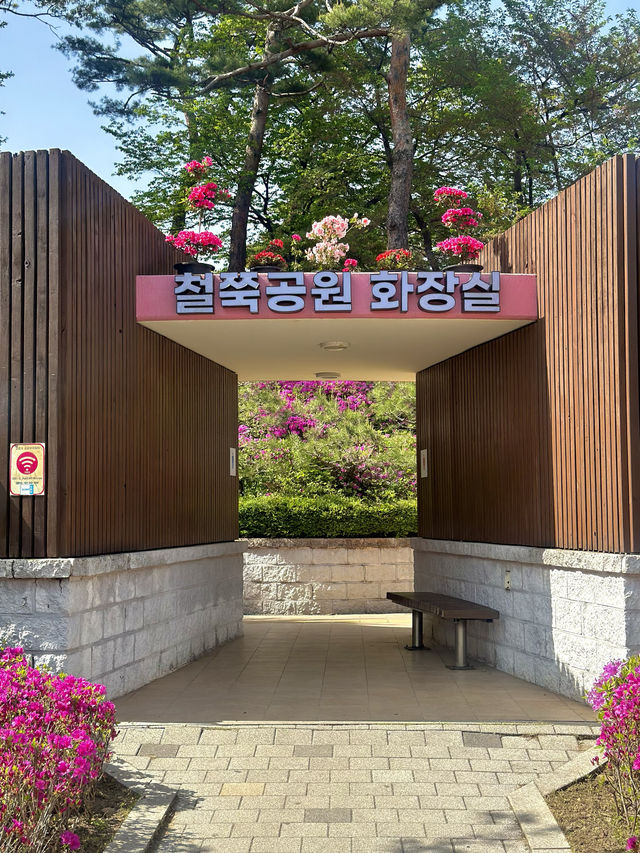 철쭉동산 10주년을 맞이하여 더 다채로운 철쭉축제💗