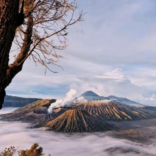 Mount Bromo Tourism