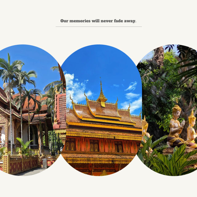 Talom Temple😎泰國佛教文化的內在魅力