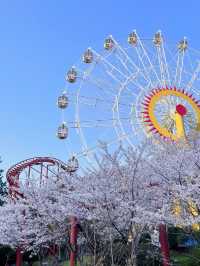 🎡16,000원 내고 하늘자전거만 타고 온 썰,,, 이거 맞아?,,,