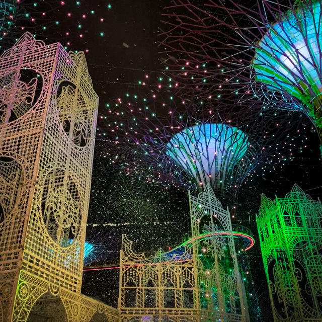 Gardens by the Bay at Night: A Dazzling Urban Oasis