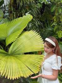 新加坡巨型溫室花園！400,000棵特色植物打卡！