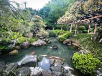 藤花盛開的金蛇水神社