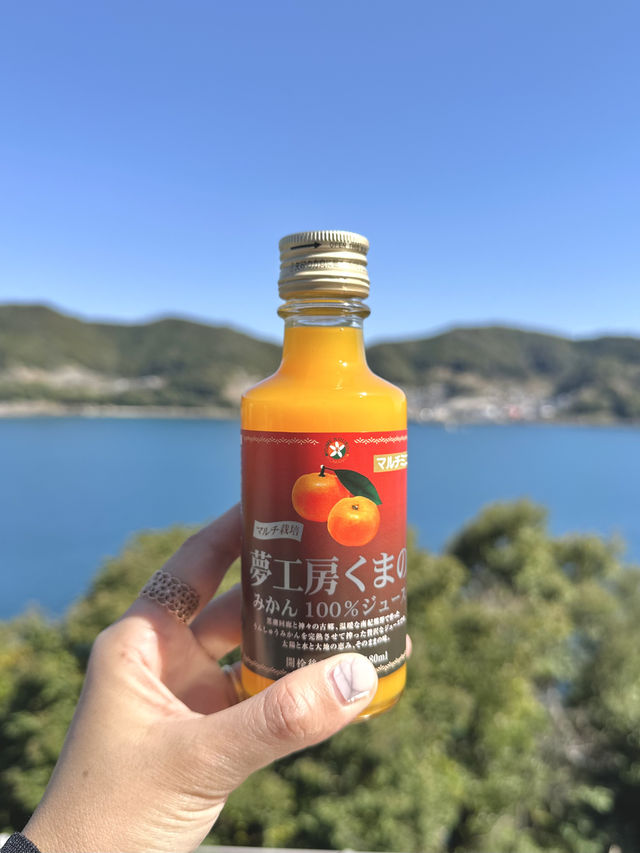 📍鬼ヶ城センター/三重