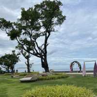 Miss T Cafe & Restaurant Huahin