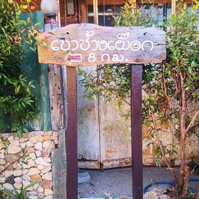 เขาช้างเผือก (Khao Chang Phueak)