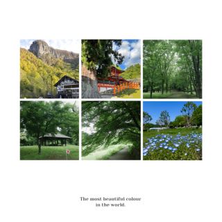 辻川山公園：自然美景