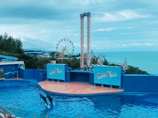 🌊 Visit Ocean Park Hong Kong