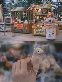 日本｜ 神戶動物王國 近距離接觸水豚君～