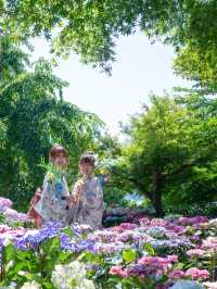 💚ハートの空と紫陽花が撮れる絶景カフェ☕✧