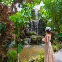 คาเฟ่ในสวนป่า อยุธยา 🌱