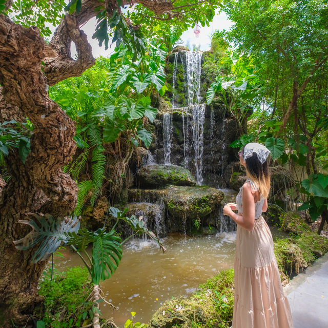 คาเฟ่ในสวนป่า อยุธยา 🌱