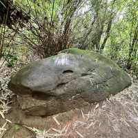เที่ยวถ้ำนาคา จังหวัดนครพนม สายมูห้ามพลาด 