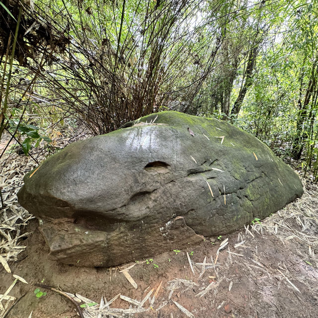 เที่ยวถ้ำนาคา จังหวัดนครพนม สายมูห้ามพลาด 