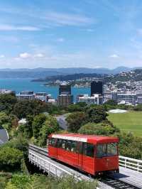 Capital of New Zealand - Wellington