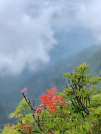 Mount Tanigawa 