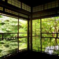 【🇯🇵京都】🍁息を呑む美しいリフレクション