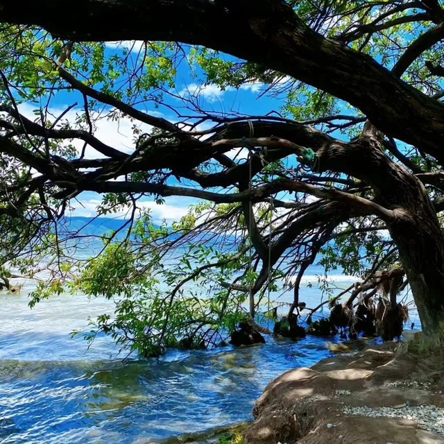 小涉湖：絕佳湖景