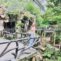 สวนสัตว์เปิดเขาเขียว 🌳 🐘🐒🦒🦓🦏🦜 🌳