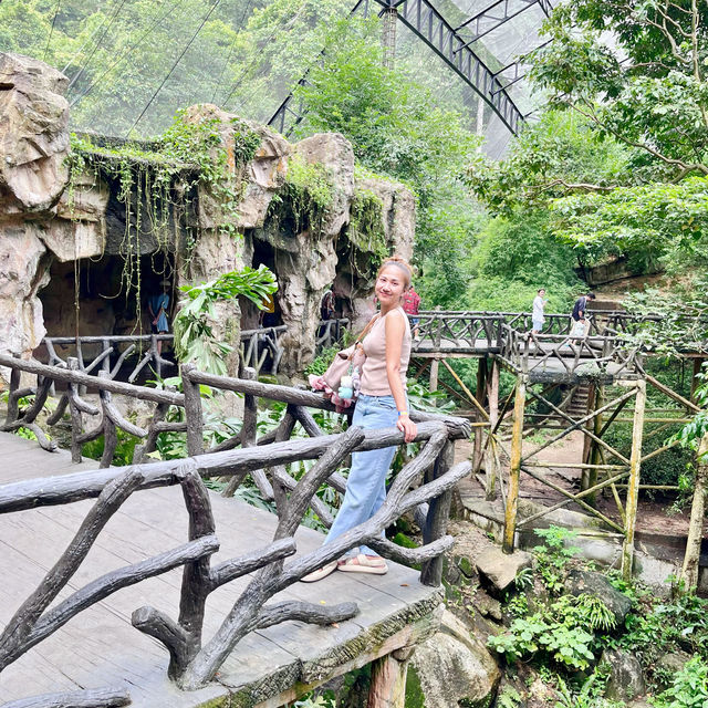 สวนสัตว์เปิดเขาเขียว 🌳 🐘🐒🦒🦓🦏🦜 🌳