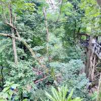 สวนสัตว์เปิดเขาเขียว 🌳 🐘🐒🦒🦓🦏🦜 🌳