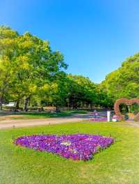 〜大阪府〜3500株の薔薇が咲き誇る大阪長居植物園！