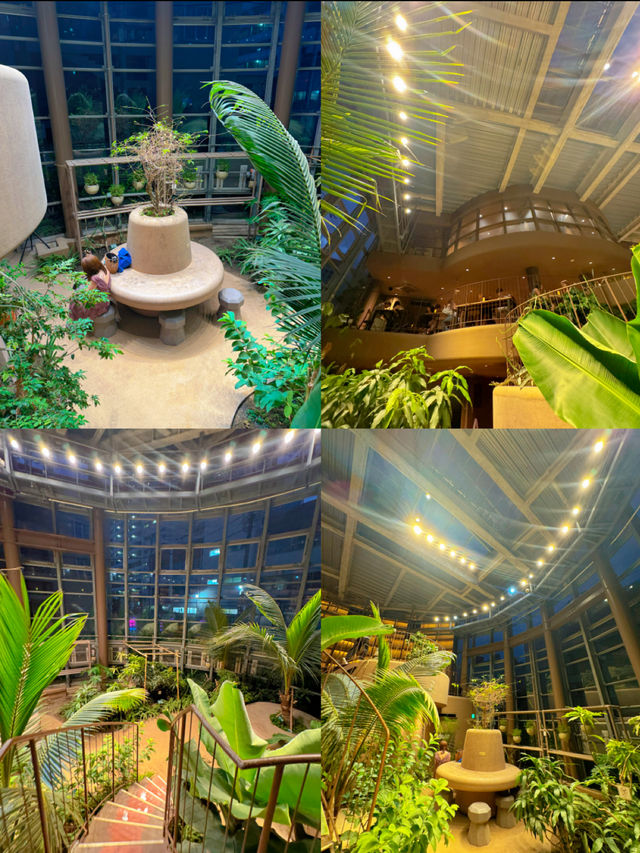 入場料たったの100円🫣✨大都会にあるオアシス🕊🌿💗【東京・渋谷】