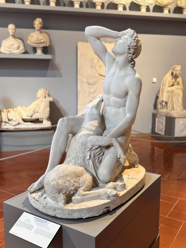 世界🌎知名美術館🤩學院美術館‼️必睇大衛像