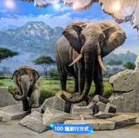 蘭卡威3D藝術互動樂園，大人小孩玩的不亦樂乎