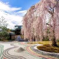 most recommended temple in kyoto