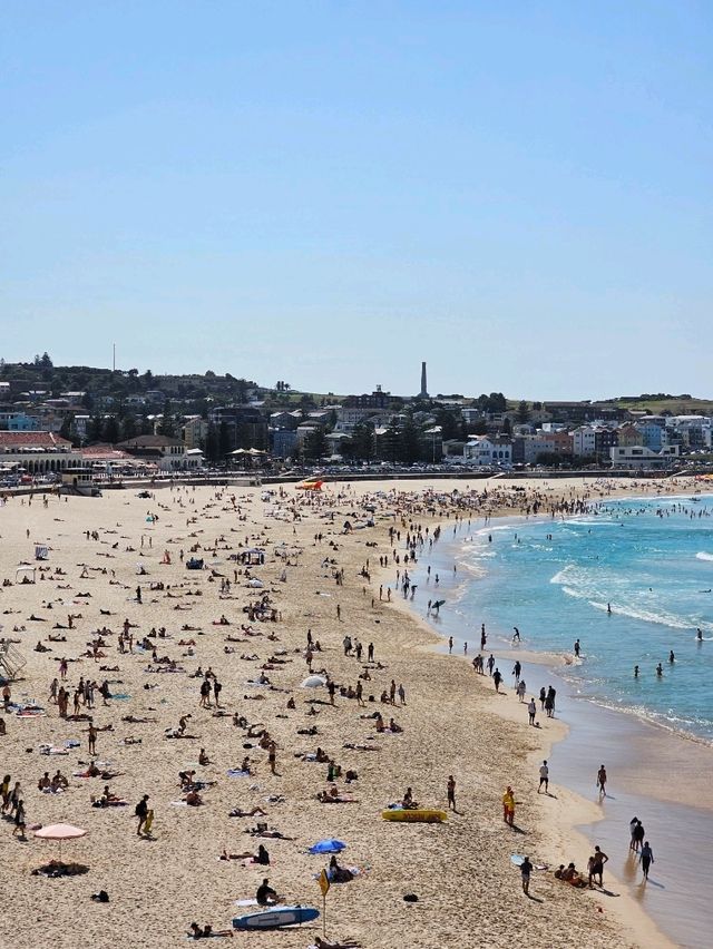 시드니 🇦🇺 많은 사람들이 사랑하는 해변 ⛱️