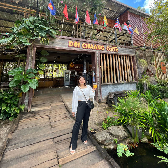ขับรถเที่ยวดอยช้าง แต่เจอแกะ🤣