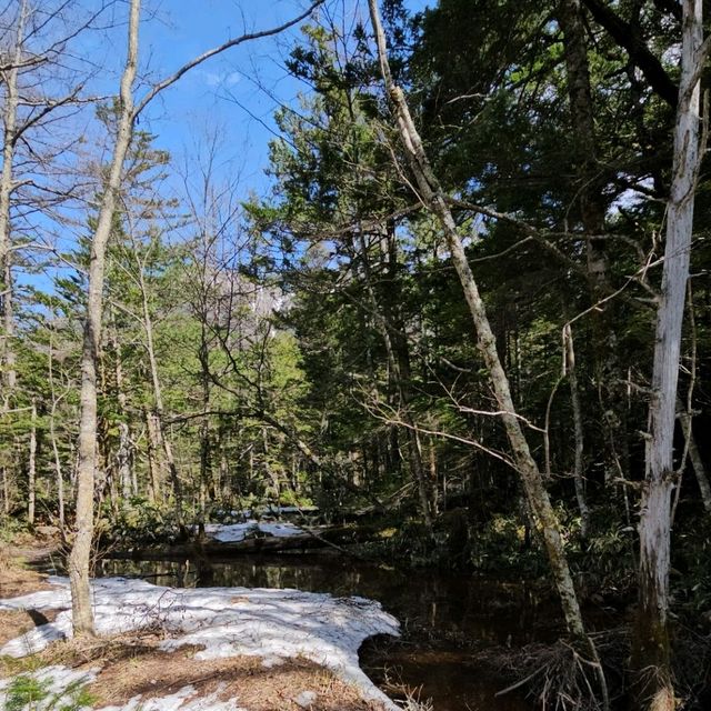 初夏開山的殘雪美景，上高地健行之旅。