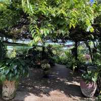 The Secret Garden of 1Utama Mall