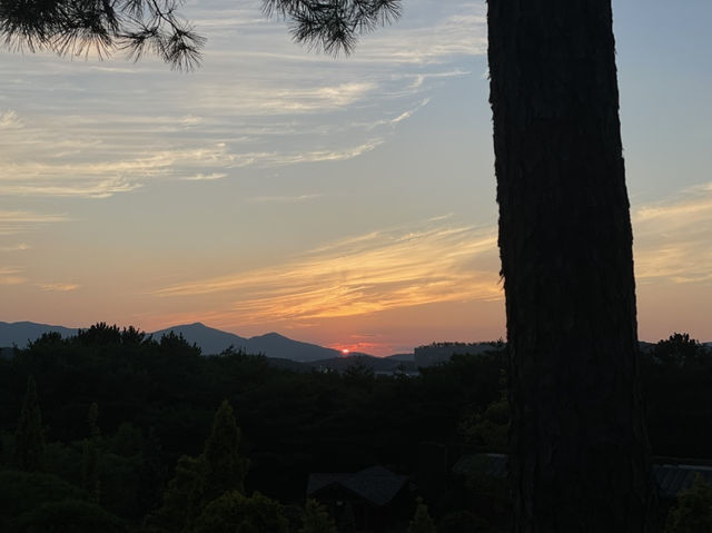 너무 예쁜 대전의 갑천 야경